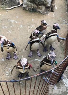 上越デリヘル HONEY(ハニー) しんく(♪♪)(29)の10月25日写メブログ「退勤♪」