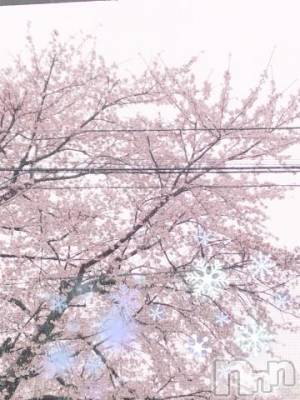 上越デリヘル HONEY(ハニー) しんく(♪♪)(特別料金)(29)の11月10日写メブログ「今月の予定は？」