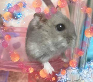 上越デリヘル HONEY(ハニー) しんく(♪♪)(29)の12月23日写メブログ「退勤?.*?」