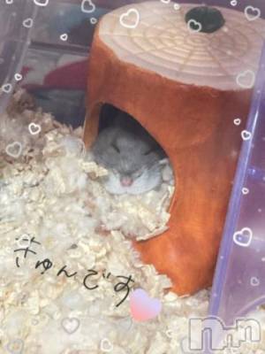 上越デリヘル HONEY(ハニー) しんく(♪♪)(29)の1月27日写メブログ「退勤?.*?」