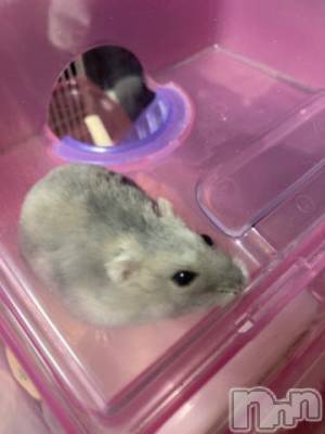 上越デリヘル HONEY(ハニー) しんく(♪♪)(29)の1月28日写メブログ「退勤?.*?」