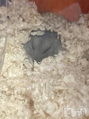 上越デリヘル HONEY(ハニー) しんく(♪♪)(29)の7月23日写メブログ「退勤?.*?」