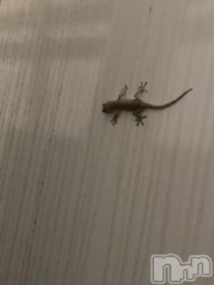 上越デリヘル HONEY(ハニー) しんく(♪♪)(29)の8月27日写メブログ「退勤?.*?」