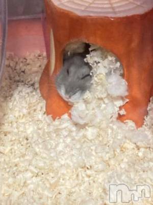 上越デリヘル HONEY(ハニー) しんく(♪♪)(29)の9月25日写メブログ「退勤✩.*˚」