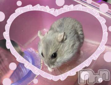 上越デリヘル HONEY(ハニー) しんく(♪♪)(29)の1月10日写メブログ「退勤したよ✩.*˚」