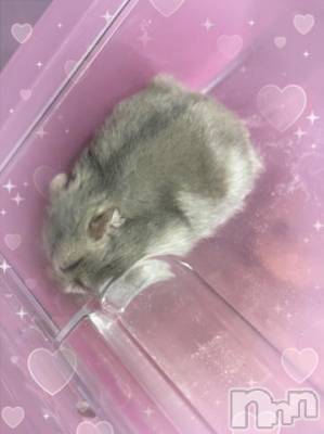 上越デリヘル HONEY(ハニー) しんく(♪♪)(29)の1月24日写メブログ「退勤✩.*˚」