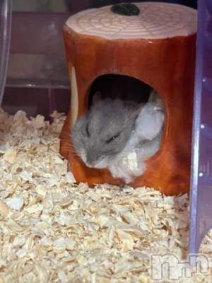 上越デリヘル HONEY(ハニー) しんく(♪♪)(29)の2月12日写メブログ「退勤✩.*˚」