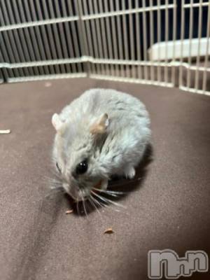 上越デリヘル HONEY(ハニー) しんく(♪♪)(29)の2月25日写メブログ「退勤♪」