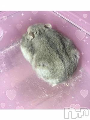 上越デリヘル HONEY(ハニー) しんく(♪♪)(29)の2月26日写メブログ「退勤✩.*˚」