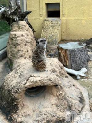 上越デリヘル HONEY(ハニー) しんく(♪♪)(29)の4月23日写メブログ「退勤✩.*˚」