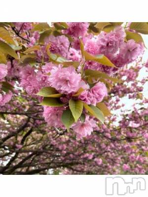 上越デリヘル HONEY(ハニー) しんく(♪♪)(29)の4月26日写メブログ「退勤✩.*˚」