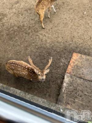 上越デリヘル HONEY(ハニー) しんく(♪♪)(29)の5月5日写メブログ「退勤✩.*˚」