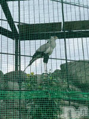 上越デリヘル HONEY(ハニー) しんく(♪♪)(29)の6月4日写メブログ「退勤✩.*˚」