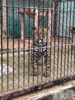 上越デリヘル HONEY(ハニー) しんく(♪♪)(29)の6月8日写メブログ「退勤✩.*˚」