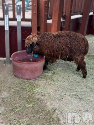 上越デリヘル HONEY(ハニー) しんく(♪♪)(29)の7月5日写メブログ「退勤✩.*˚」