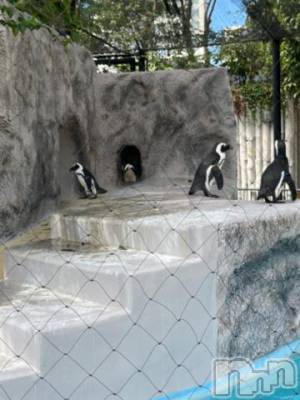 上越デリヘル HONEY(ハニー) しんく(♪♪)(29)の9月4日写メブログ「退勤✩.*˚」