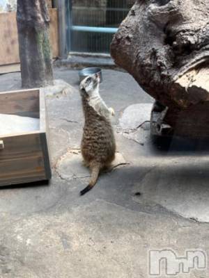 上越デリヘル HONEY(ハニー) しんく(♪♪)(29)の9月5日写メブログ「退勤✩.*˚」