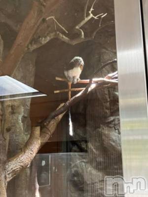 上越デリヘル HONEY(ハニー) しんく(♪♪)(29)の9月6日写メブログ「退勤✩.*˚」