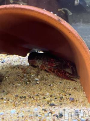 上越デリヘル HONEY(ハニー) しんく(♪♪)(29)の9月7日写メブログ「退勤✩.*˚」