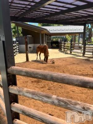 上越デリヘル HONEY(ハニー) しんく(♪♪)(29)の9月9日写メブログ「退勤♪」