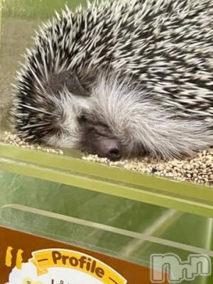 上越デリヘル HONEY(ハニー) しんく(♪♪)(29)の10月5日写メブログ「退勤✩.*˚」