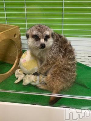 上越デリヘル HONEY(ハニー) しんく(♪♪)(29)の10月7日写メブログ「退勤✩.*˚」