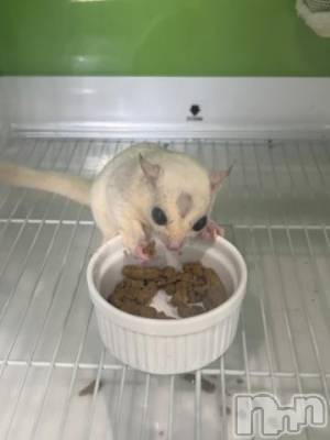 上越デリヘル HONEY(ハニー) しんく(♪♪)(29)の10月9日写メブログ「退勤✩.*˚」