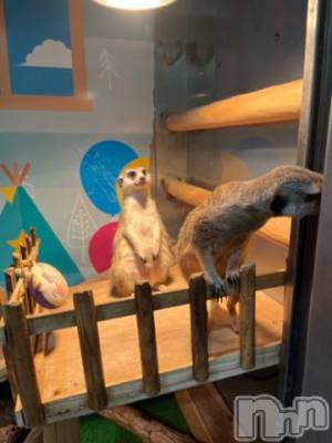 上越デリヘル HONEY(ハニー) しんく(♪♪)(29)の10月10日写メブログ「退勤✩.*˚」