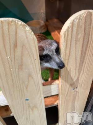 上越デリヘル HONEY(ハニー) しんく(♪♪)(29)の11月7日写メブログ「退勤✩.*˚」