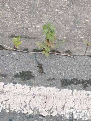 上越デリヘル HONEY(ハニー) しんく(♪♪)(29)の8月23日写メブログ「退勤✩.*˚」