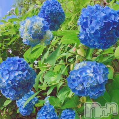 上越デリヘル HONEY(ハニー) しんく(♪♪)(29)の12月30日写メブログ「わぁぁぁ:( ;´ロ`;):」