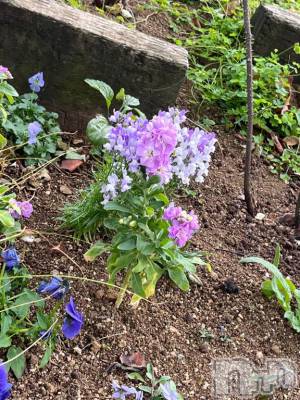 上越デリヘル HONEY(ハニー) しんく(♪♪)(29)の1月25日写メブログ「退勤✩.*˚」