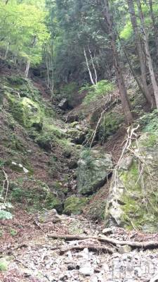 上越デリヘル HONEY(ハニー) しんく(♪♪)(29)の5月29日写メブログ「☆お知らせ★」