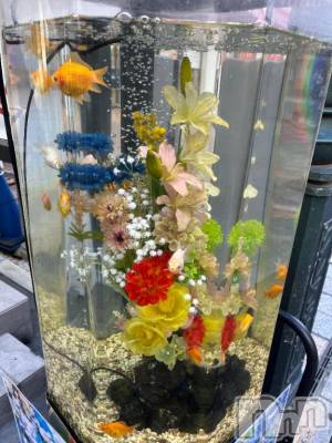 上越デリヘル HONEY(ハニー) しんく(♪♪)(29)の10月26日写メブログ「しゅっきん！」