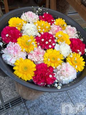 上越デリヘル HONEY(ハニー) しんく(♪♪)(29)の1月22日写メブログ「明日から✨️」