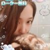 しんく(♪♪)(28)
