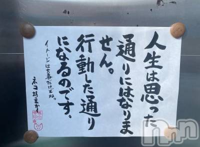 三条デリヘル alphaGOLD(アルファゴールド) みつき(27)の6月1日写メブログ「出勤出勤～」