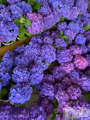 三条デリヘル alphaGOLD(アルファゴールド) みつき(27)の6月27日写メブログ「[お題]from:帰ってきてさん」