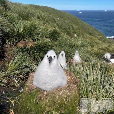 三条デリヘル alphaGOLD(アルファゴールド) みつき(27)の4月1日写メブログ「おはようですー🙂‍↕️」