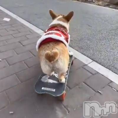 三条デリヘル alphaGOLD(アルファゴールド) みつき(27)の4月1日写メブログ「ありがとっっ❤️」