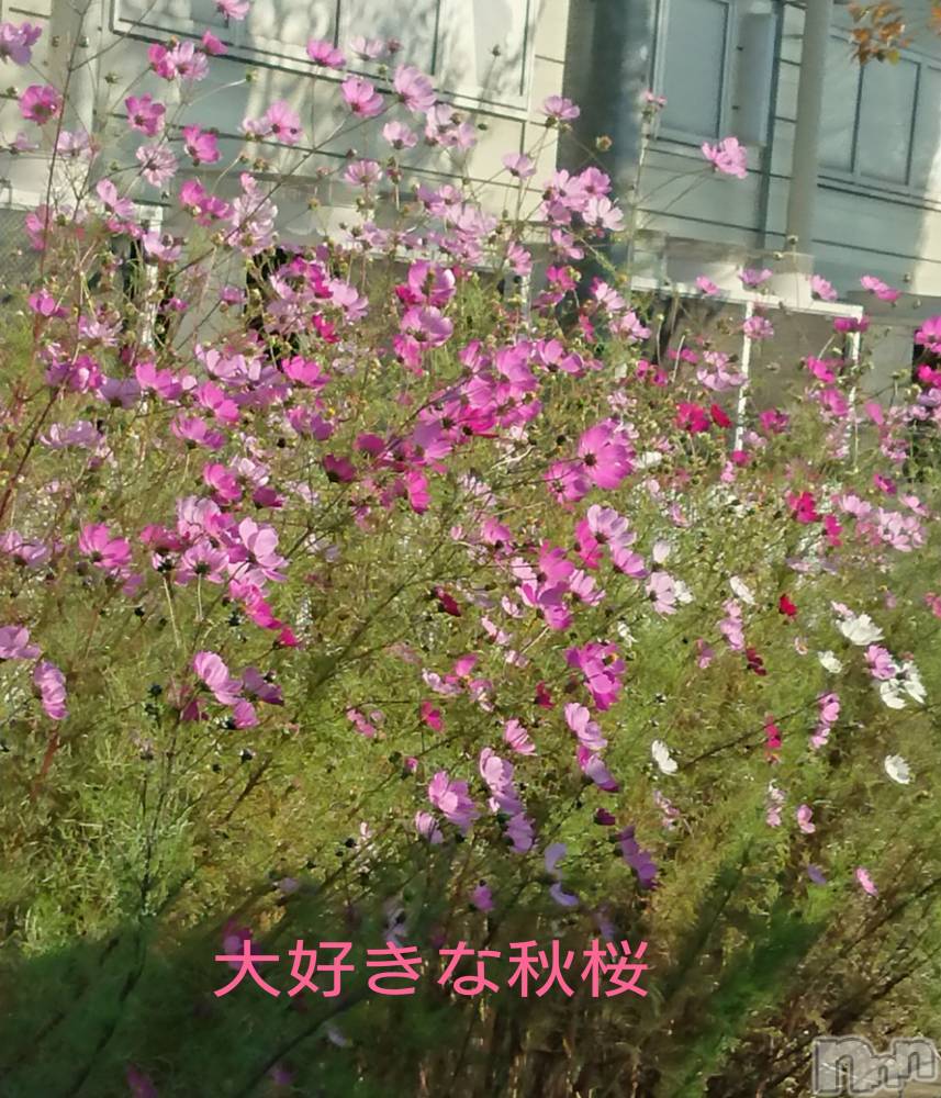 松本発デリヘルELYSION （エリシオン）(エリシオン) 紅葉 kureha (39)の10月5日写メブログ「猛暑はいずこへ…👋😅」