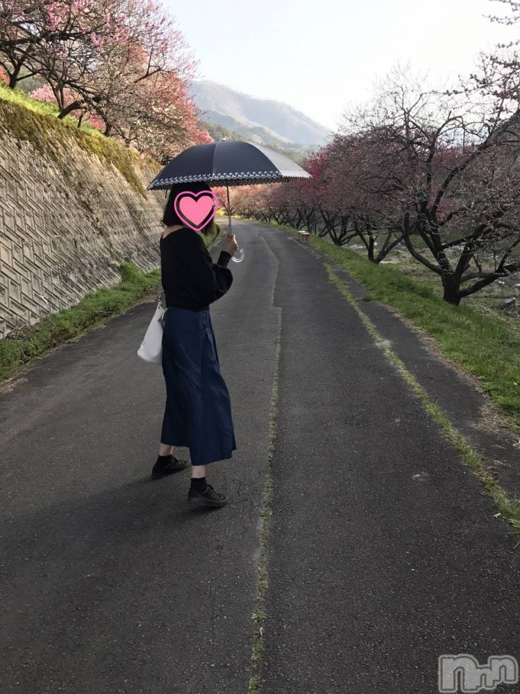 ��ë����Х��顦�����CLUB��Paladin(����֡��ѥ�ǥ���) �������ۤ�9��20���̥�֥�������ɸ��