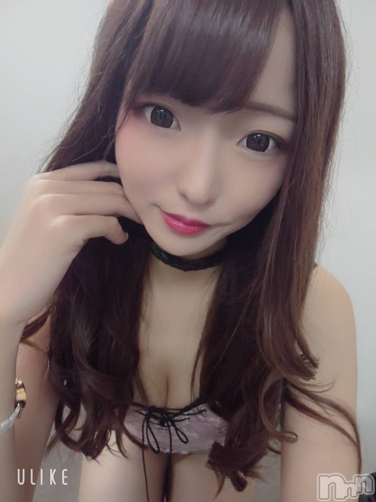 ��ë����Х��顦�����CLUB��Paladin(����֡��ѥ�ǥ���) �������ۤ�10��11���̥�֥�����Sunny��