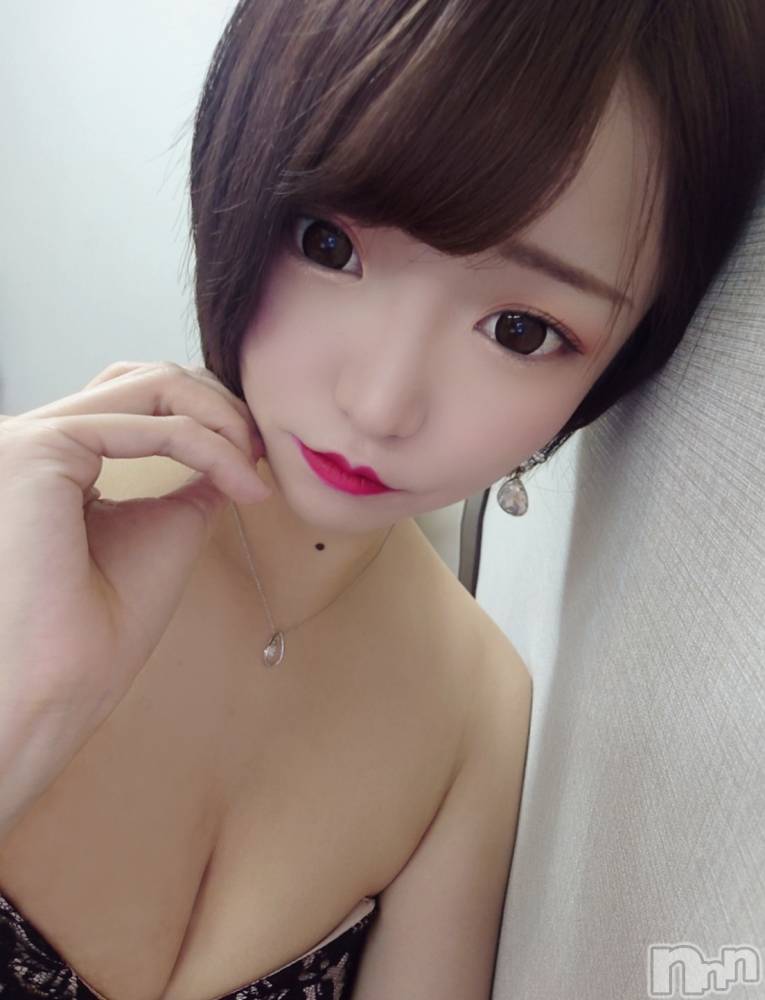 ��ë����Х��顦�����CLUB��Paladin(����֡��ѥ�ǥ���) �������ۤ�1��31���̥�֥�����RED��