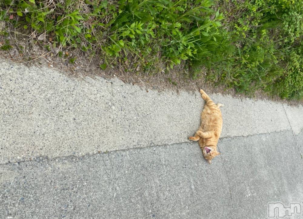 ��ë����Х��顦�����CLUB��Paladin(����֡��ѥ�ǥ���) �������ۤ�5��9���̥�֥����ִ��פΰ����