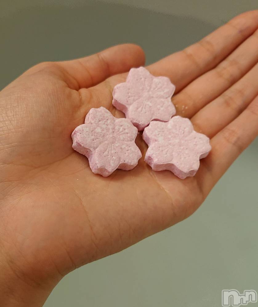 ��ë����Х��顦�����CLUB��Paladin(����֡��ѥ�ǥ���) �������ۤ�5��27���̥�֥����ֹ�����Ǻ�߻���