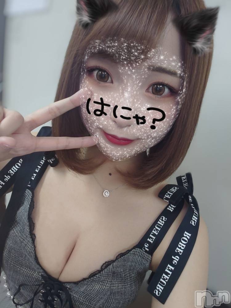 ��ë����Х��顦�����CLUB��Paladin(����֡��ѥ�ǥ���) �������ۤ�6��22���̥�֥�����🐈��3 �ġ���