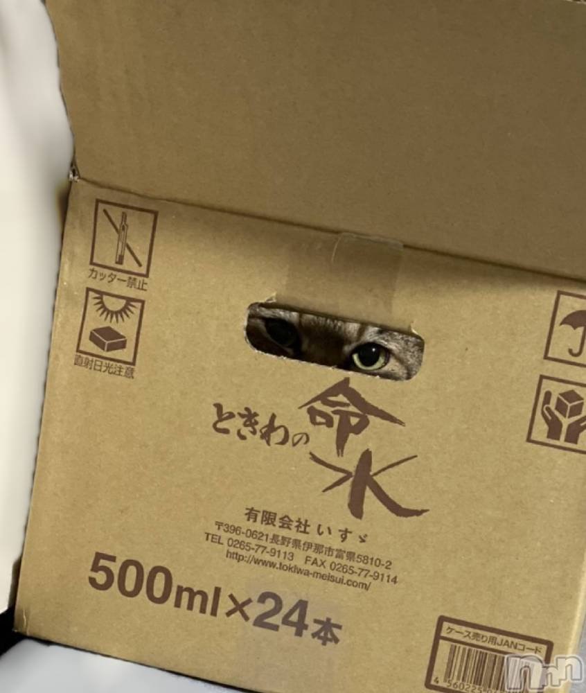 ��ë����Х��顦�����CLUB��Paladin(����֡��ѥ�ǥ���) �������ۤ�8��7���̥�֥�����👀✨��