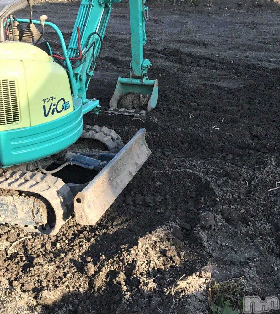 ��ë����Х��顦�����CLUB��Paladin(����֡��ѥ�ǥ���) �������ۤ�8��9���̥�֥����־׷�λ��¡�