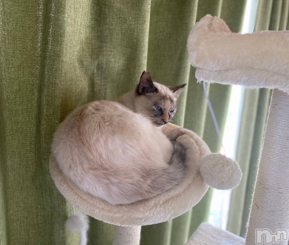 ��ë����Х��顦�����CLUB��Paladin(����֡��ѥ�ǥ���) �������ۤ�5��22���̥�֥�����𝐬𝐭𝐚𝐫𝐭▹▸��